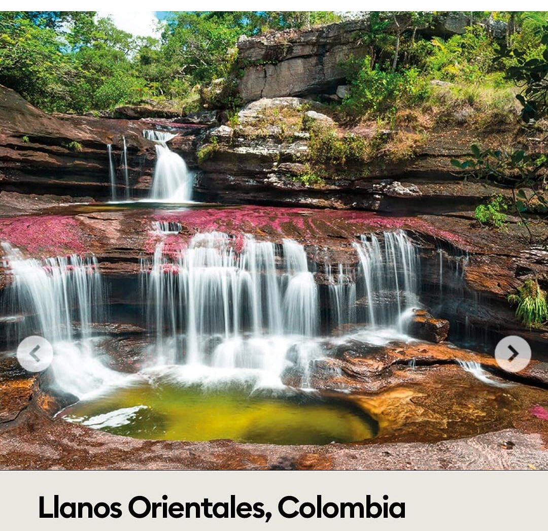 Los Llanos Orientales brillan ante el mundo: <a href="/forbescolombia/">Forbes Colombia</a> resalta nuestra región como un destino imperdible en 2025. Caño Cristales, el Bioparque Los Ocarros y el río Manacacías son apenas el inicio de una travesía mágica en el Meta.
