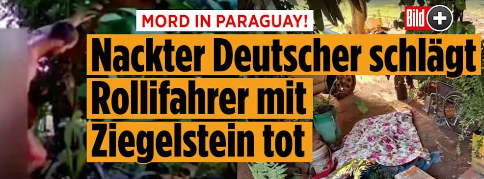 RayaRoentgen's tweet image. Alle Deutschen aus Paraguay abschieben?