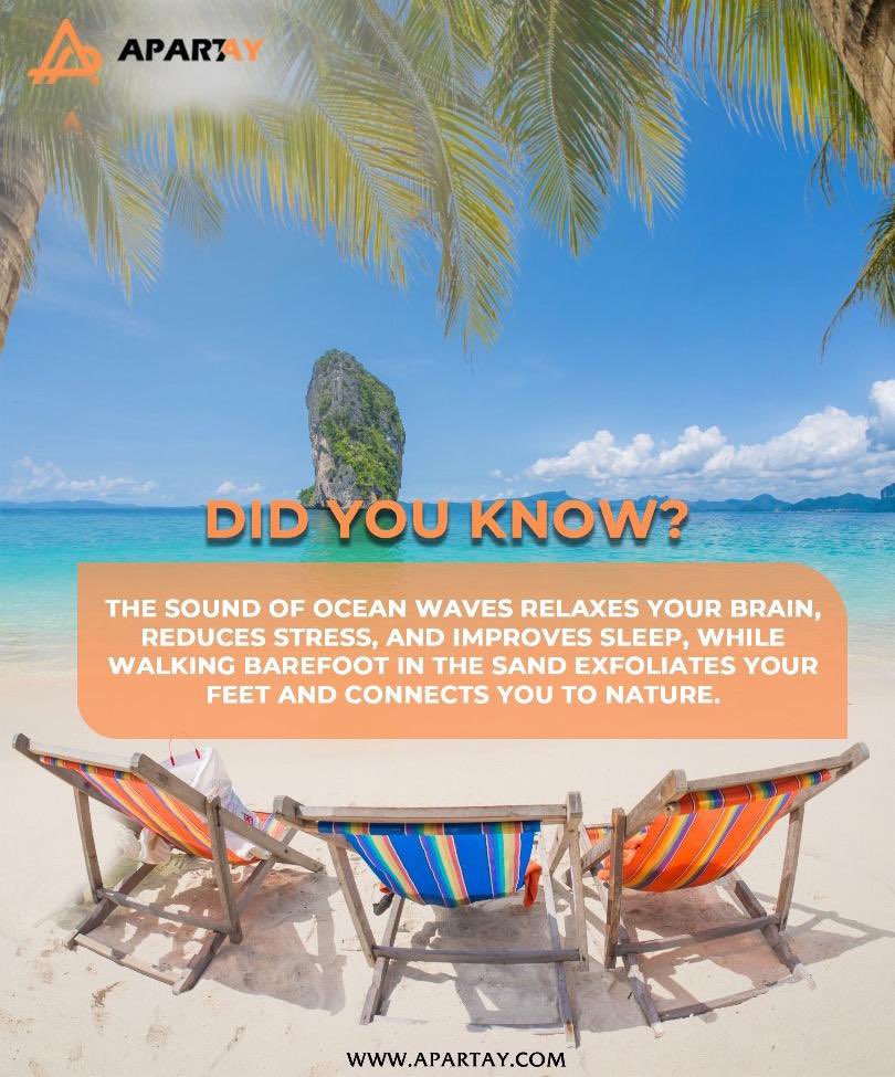 officialapartay's tweet image. This is your perfect moment to soak up the sun, feel the sand between your toes, and dive into a world of relaxation and fun!😎🏖️
Let’s hit the waves and make some amazing memories!🌊
Go now to apartay.com to make your beach house reservations!😉