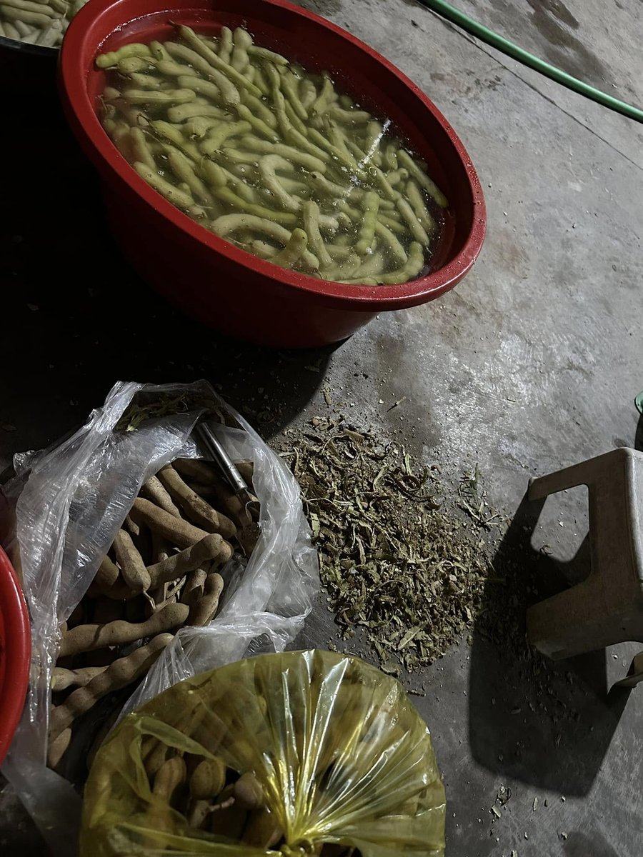 earn money for Tet. Wishing everyone a happy evening and good night!