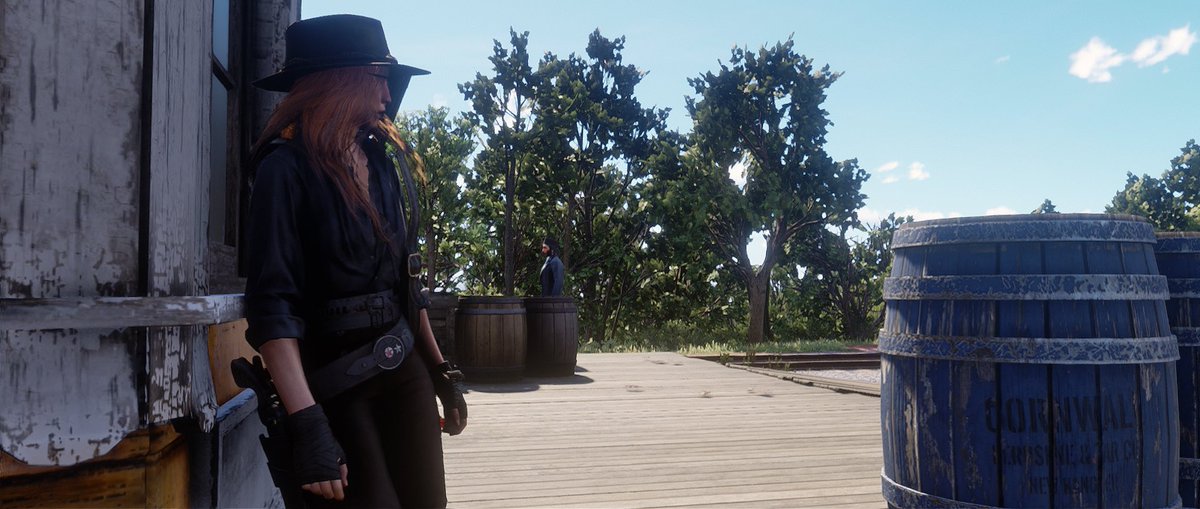 hawwkie_'s tweet photo. uhh it’s been a while?

still streaming yeehaw rp occasionally <3
feeling a bit of burnout recently, might look at some new servers soonish! https://t.co/Kv315BktFD