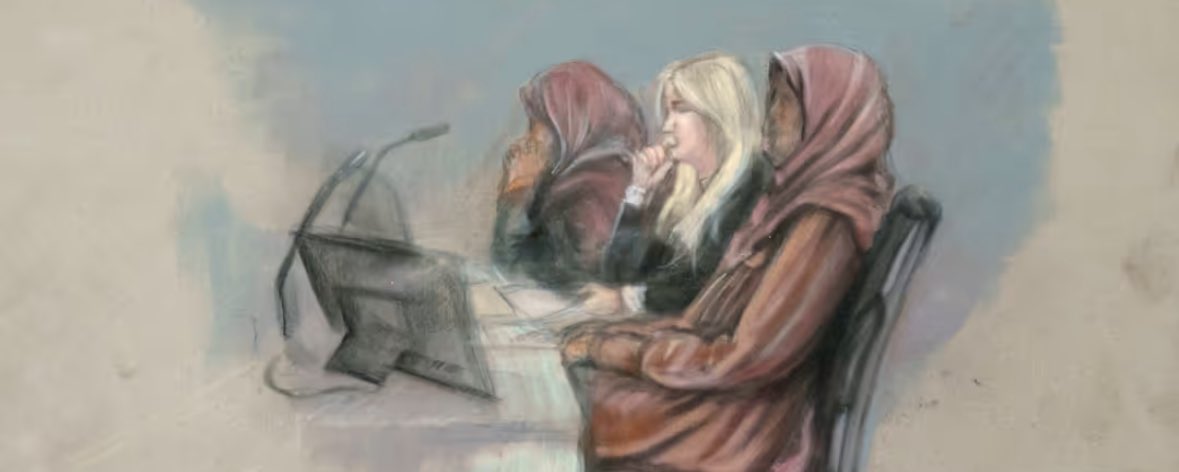 Michael Bloom tweet media