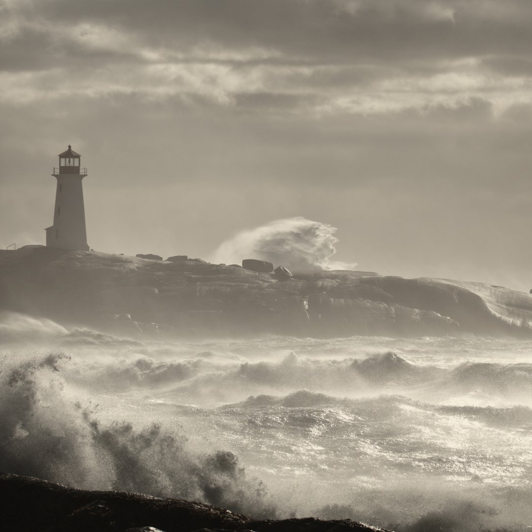 Paymentshield tweet media