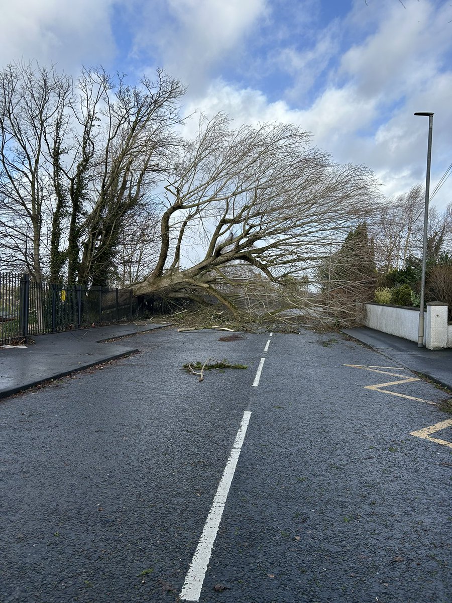 Laura Trueman tweet media