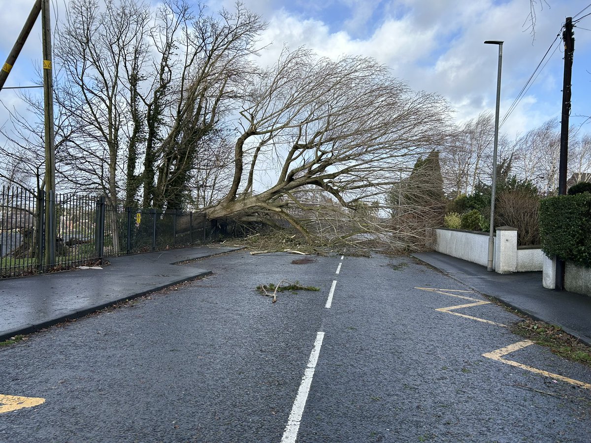 Laura Trueman tweet media