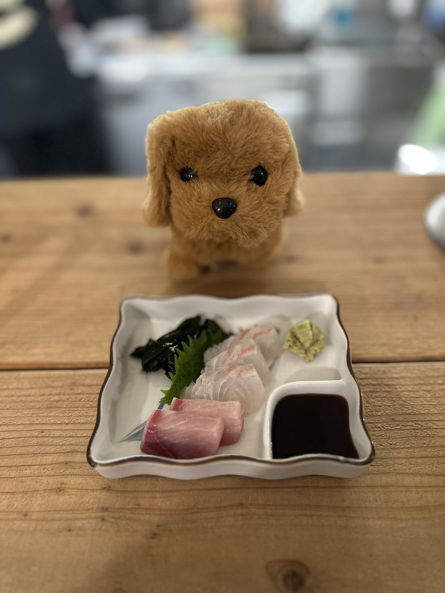 red_elmon's tweet photo. 今日の晩ごはん🍚
裏メニューのおにぎりと
いろいろ
#晩ごはん #裏メニュー #withdog https://t.co/vI73HgLglk