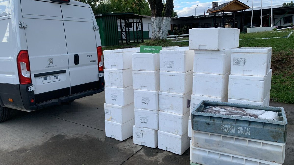 CarabLosRios's tweet photo. En control en #Ruta5Sur,  Carabineros de la Patrulla de Intervención Rural del #Ranco y @sernapesca detuvieron a conductor de furgón, proveniente de #Ancud, que transportaba 1886 kilos de merluza austral, sin ningún tipo de documentación que respaldara su origen.
#OrdenyPatria https://t.co/5xsPgz7H9d