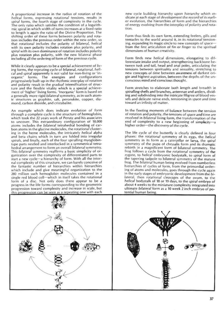 architext14's tweet image. The level of Kahn’s collaborators... 

Tyng proposes that geometric forms like the dodecahedron and icosahedron are not just mathematical curiosities but are emblematic of deeper patterns in the universe, life, and the psyche. Architecture, mathematics, biology, and psychology…