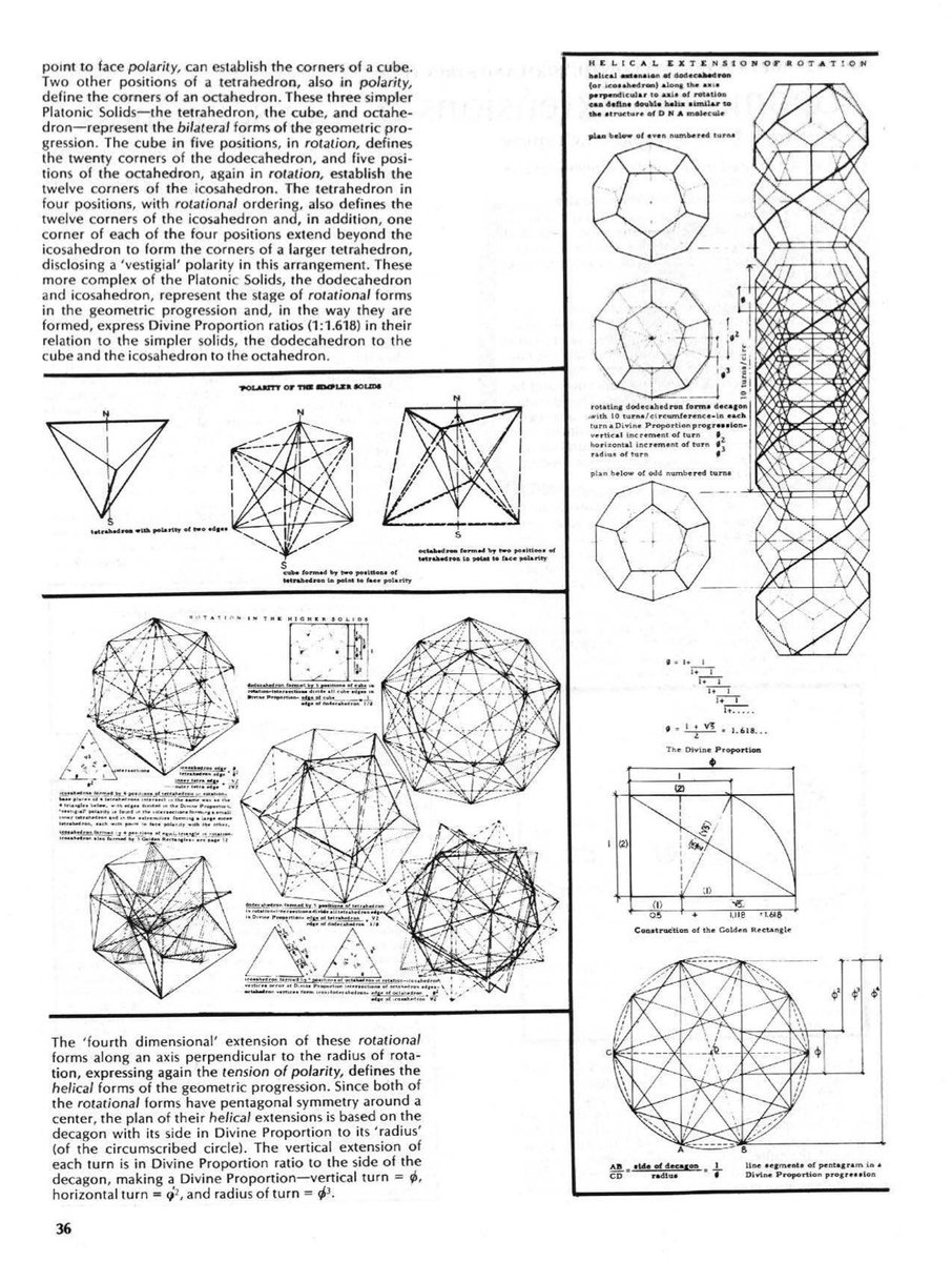 architext14's tweet image. The level of Kahn’s collaborators... 

Tyng proposes that geometric forms like the dodecahedron and icosahedron are not just mathematical curiosities but are emblematic of deeper patterns in the universe, life, and the psyche. Architecture, mathematics, biology, and psychology…