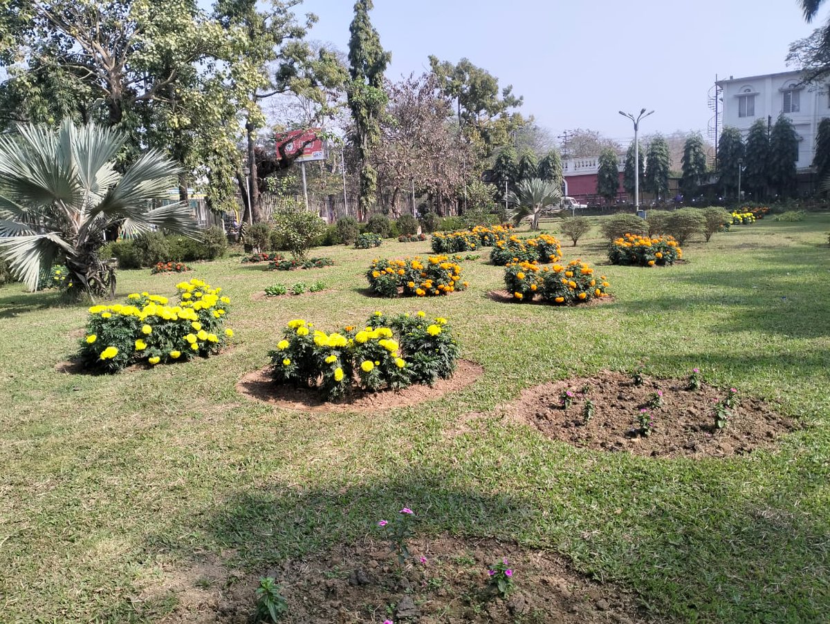 BirState's tweet photo. Program Name:- Glimpses of the Gardens of Bir Chandra State Central Library.
Date :-24/01/2025 ,
Venue :- Bir Chandra State Central Library , Agartala, Tripura.
#BirChandraStateCentralLibrary
#BCSCL  #Garden https://t.co/gU2eN89Gq8