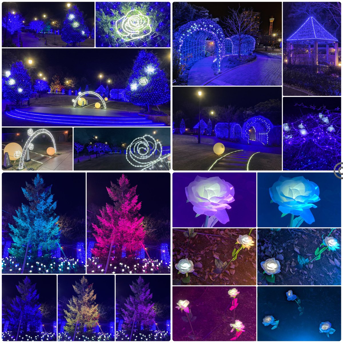 sekaiandjpn's tweet photo. #nightview 3
#アメリカ山公園
America-yama Park
#Rooftop #Illumination
#Night #ROSE #Garden
#lighting #design #lightup
#installation #art #flowers
#trees #gardening #History
#beautiful #cool
#神奈川県 #横浜市
#Yokohama #Japan
#walking #relaxing #breathe
#StayHealthy #HaveANiceTime https://t.co/5bYYNWRIcQ