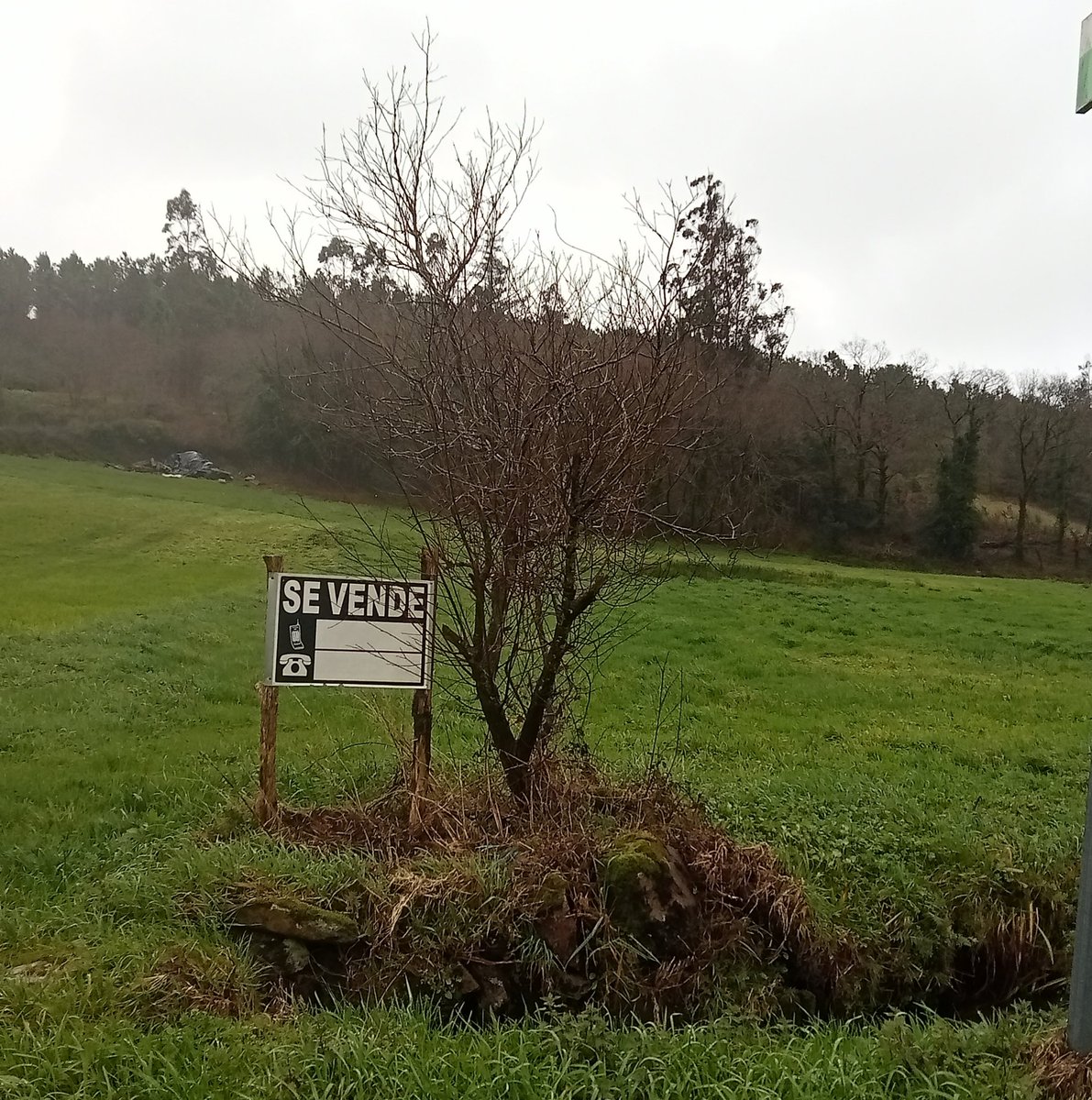 Gardería Fluvial. Augas De Galicia. (@gfaugasgalicia) on Twitter photo 
