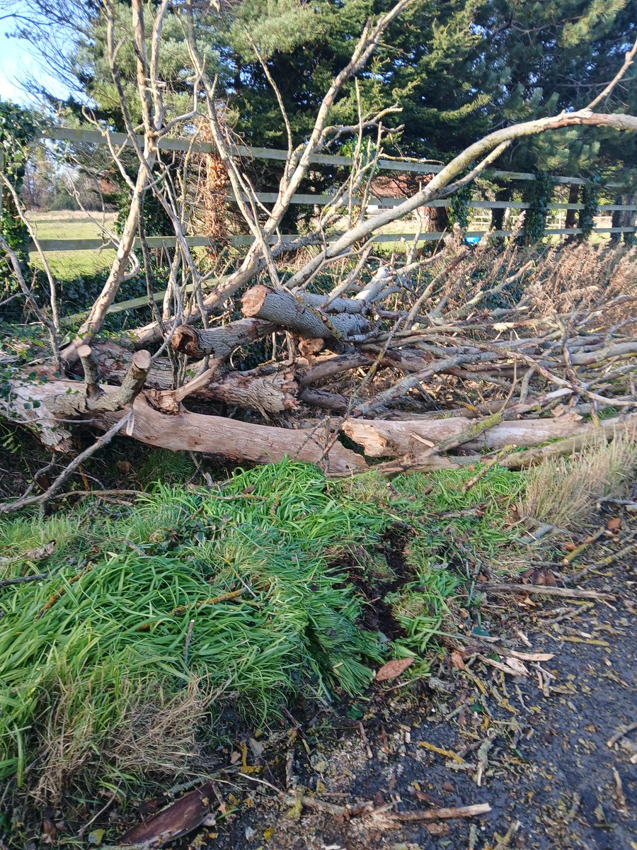 Fingal County Council tweet media