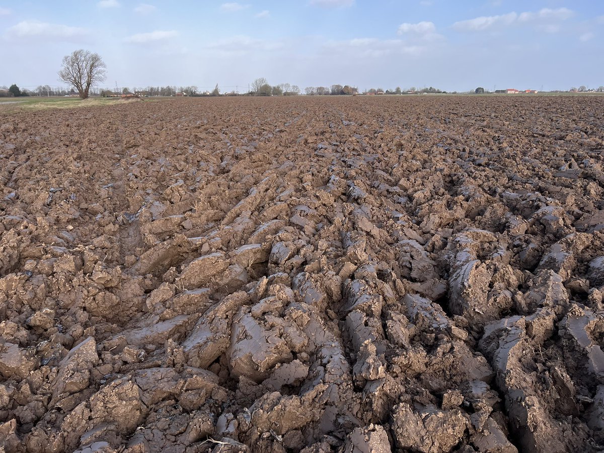 Matt Tunnard tweet media