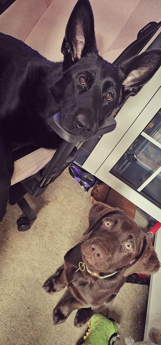 𝖘𝖆𝖗𝖆𝖍 𝖒𝖆𝖘𝖔𝖓🔜MCM London tweet media