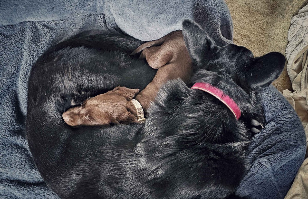 𝖘𝖆𝖗𝖆𝖍 𝖒𝖆𝖘𝖔𝖓🔜MCM London tweet media