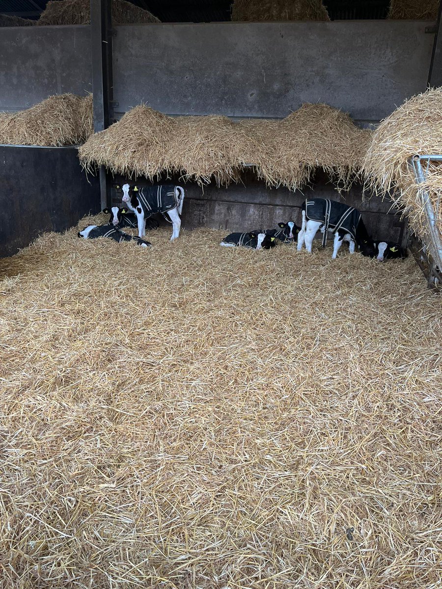 Advanced Ruminant Nutrition (@ARN_Home) / Posts / X