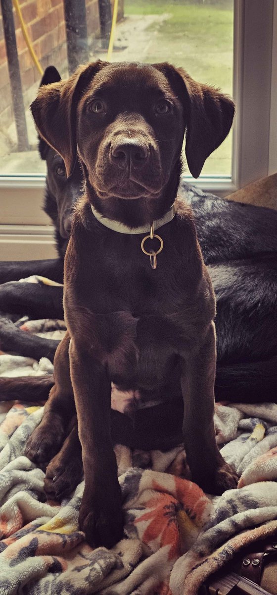 𝖘𝖆𝖗𝖆𝖍 𝖒𝖆𝖘𝖔𝖓🔜MCM London tweet media