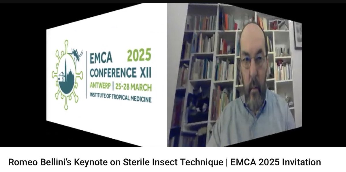 1/3 🇧🇪 🔉NEW DEADLINES!!!! LIKE AND SHARE!! 🦟🦟
📼📩VIDEO: Romeo Bellini about Sterile Insect Technique | EMCA 2025 invitation
⬇️⬇️ CONFERENCE WEBSITE at 1st link
 #EMCA2025 #SterileInsectTechnique #MosquitoControl #ReadyForAction #ITMAntwerp
👉🏻 m.youtube.com/watch?v=JQF4yL…