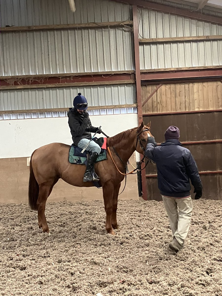 BryanSmartRacin's tweet image. Baby Sergei is a good boy 💕

#2yo #TeamSmart #Racehorsetrainer