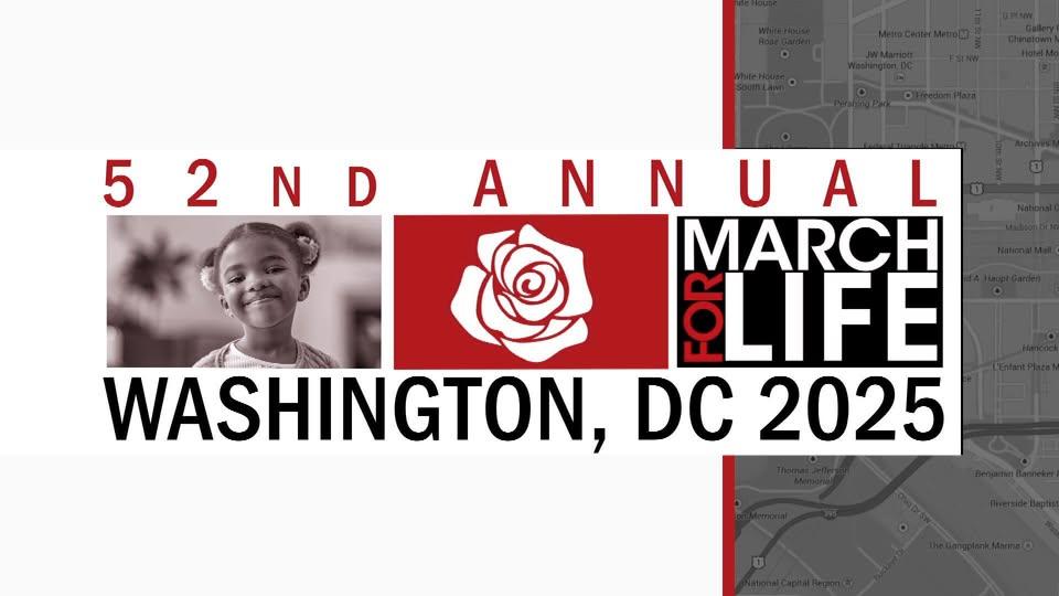 TeresaTomeo's tweet image. Tune in Friday morning at 9:30amET for the start of @EWTN's coverage of the #MarchForLife! I'll be reporting live in D.C.! Don't miss it! Visit EWTN.com.

 #prolife #prolifegeneration #EWTN #catholicx #christian