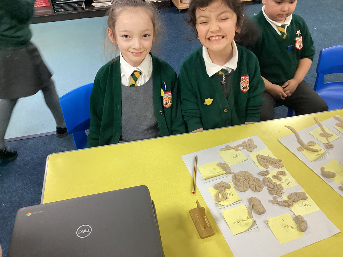 SMA_Year2's tweet photo. For science we have been discussing the different stages of a plant’s life cycle @StMargarets_  #SMAScience https://t.co/SF8E3bgDcL