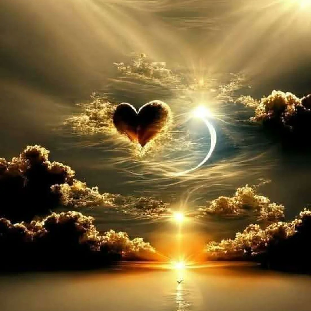 #HudutsuzSevda #zelena #GranHermano #ElvishYadav