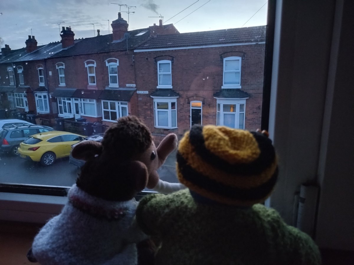 RedditchMammoth's tweet photo. 'It's blowing a hoolie out there, Milly.' 'I hope our friends in Scotland are okay, Blueberry.' 'Might be a good day to stay in and eat cheese.' π§ #smallbearduvetday #cheese #hoolie #StormEowyn https://t.co/EdUeMizdty