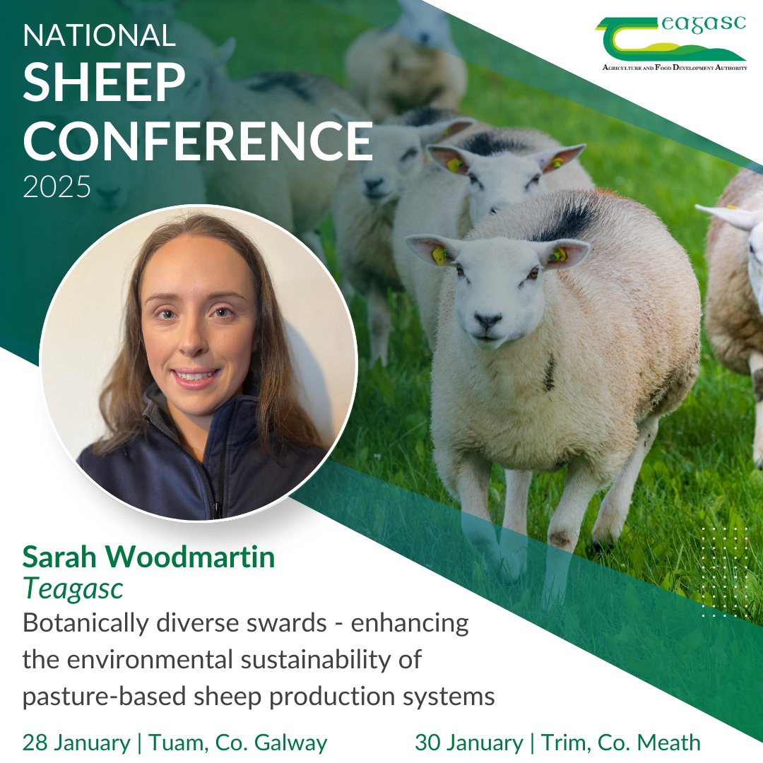 Teagasc (@teagasc) on Twitter photo Join us at the National Lowland Sheep Conference on Tuesday, 28 January in Tuam and on Thursday, 30 January in Trim.
Sarah Woodmartin will explore how diverse swards can enhance the sustainability of pasture-based sheep systems.
Visit teagasc.ie/sheepcon25 <a href="/TeagascSheep/">TeagascSheep</a> Join us at the National Lowland Sheep Conference on Tuesday, 28 January in Tuam and on Thursday, 30 January in Trim.
Sarah Woodmartin will explore how diverse swards can enhance the sustainability of pasture-based sheep systems.
Visit teagasc.ie/sheepcon25 <a href="/TeagascSheep/">TeagascSheep</a>