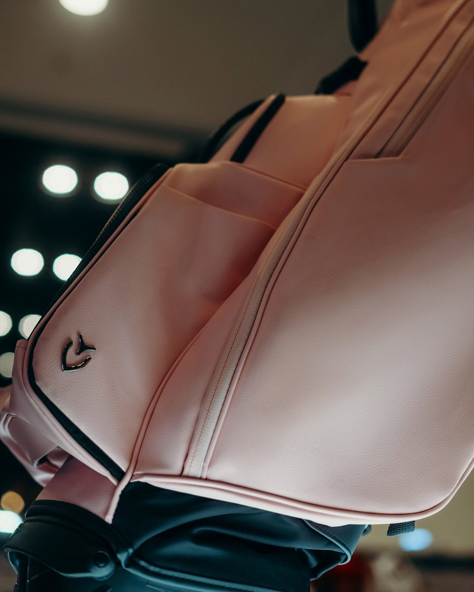 vesselgolf's tweet image. PGA Show | Day 2

A closer look at what’s in store for 2025.

#VesselGolf #CraftedForTheDriven