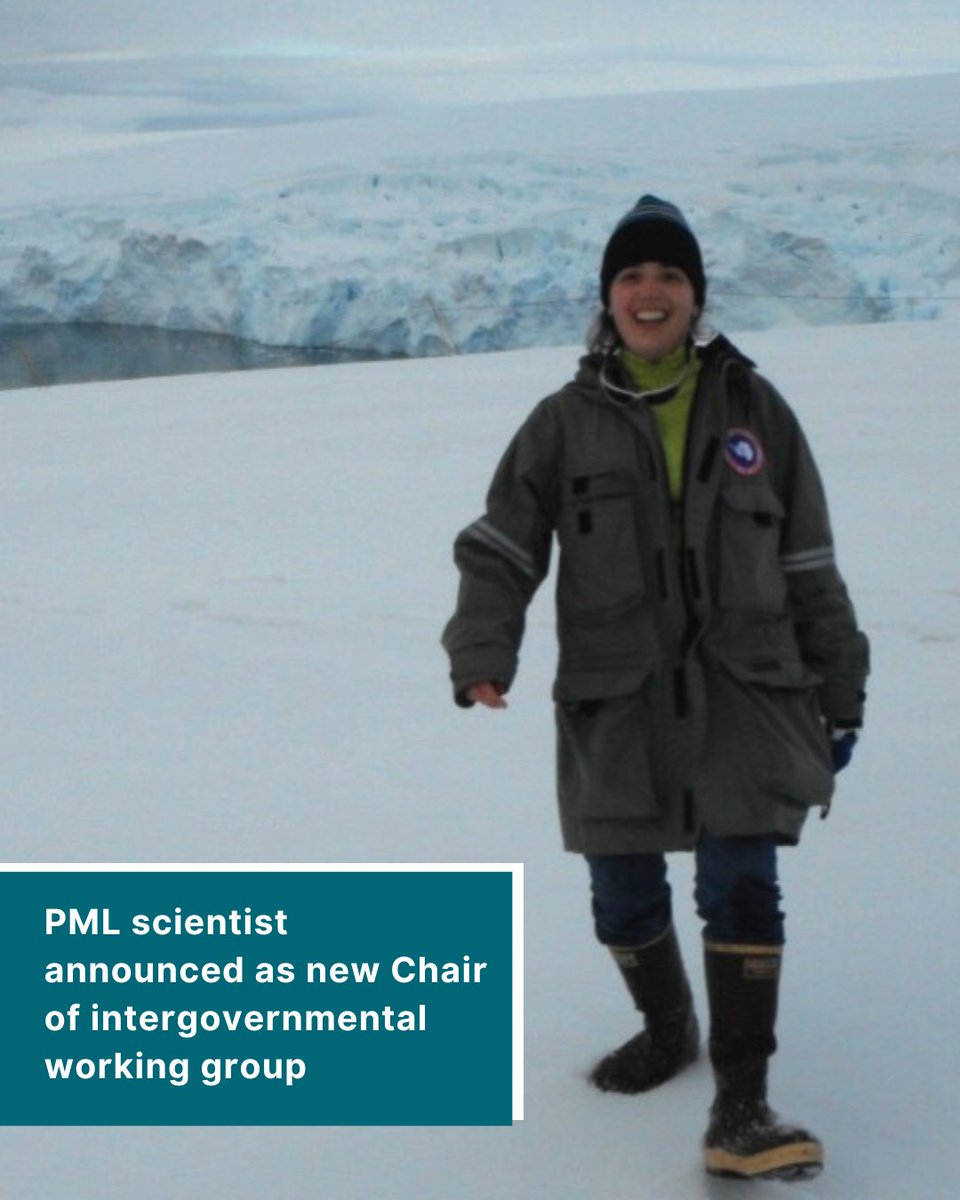 Plymouth Marine Lab tweet media