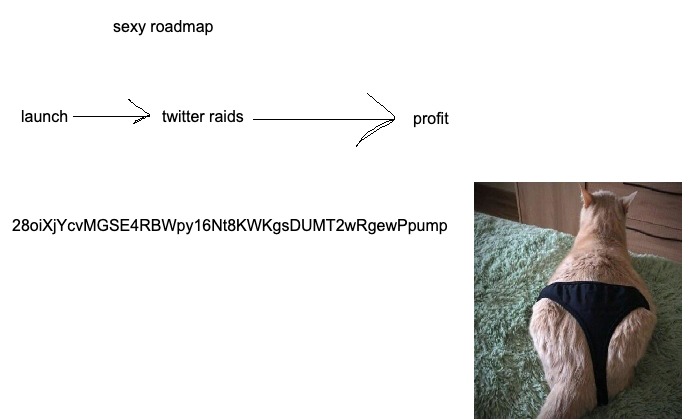 so $sexy roadmap is here

CA: 28oiXjYcvMGSE4RBWpy16Nt8KWKgsDUMT2wRgewPpump

Join fam: t.me/sexyportalsol