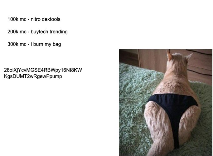 $sexy game play

CA: 28oiXjYcvMGSE4RBWpy16Nt8KWKgsDUMT2wRgewPpump

TG: t.me/sexyportalsol