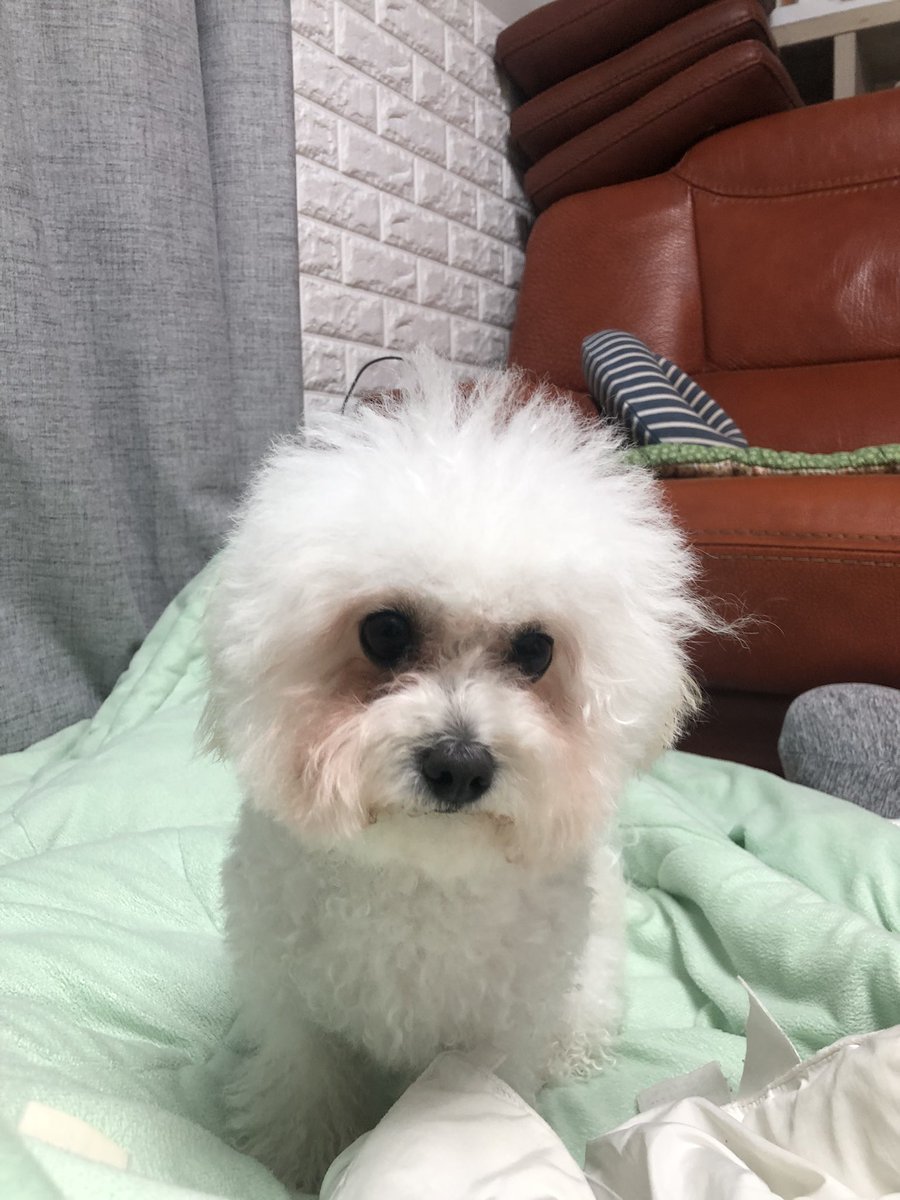 solcleanyou's tweet photo. 오랜만의 근황.저는 요즘 정신과를 아직도 다니고 있긴 하지만 현재는 자해도,자살시도도 안하고 있는 예비 고등학생이 되었습니다. 팔로우되어있는 선생님들 트윗 매일 보면서 하루하루 견뎠습니다.  진심으로 감사합니다. 앞으로 자주자주 고등학교 준비라던지, 일상이라던지 올려보겠습니다.^^ https://t.co/cBW4zQc2c1