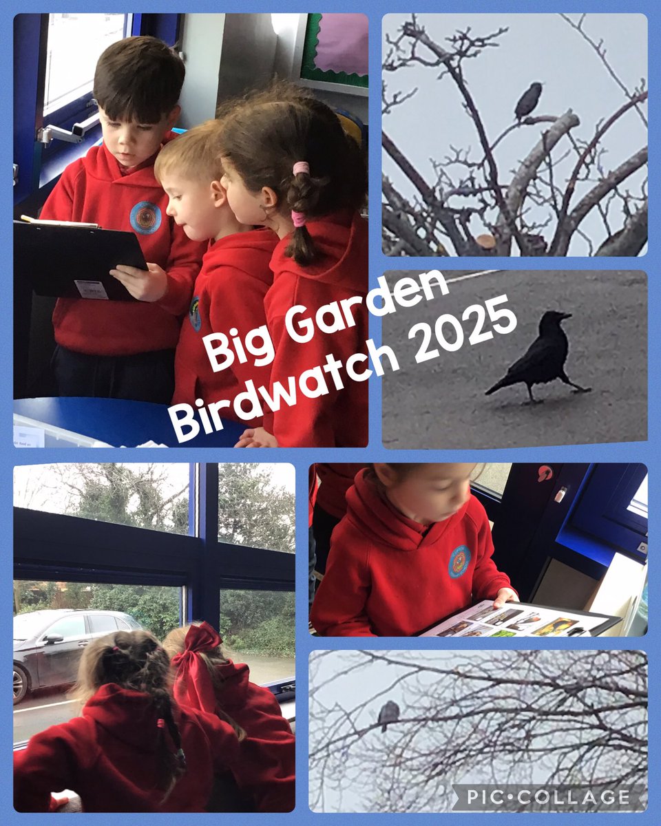 We loved taking part in the Big Garden Birdwatch in Outdoor Explorers this week. We spotted crows, magpies, wagtails, starlings, doves, pigeons, blackbirds, seagulls &amp; oystercatchers. Enjoy your bird watching homework challenge this weekend if all the birds haven’t blown away!🦅