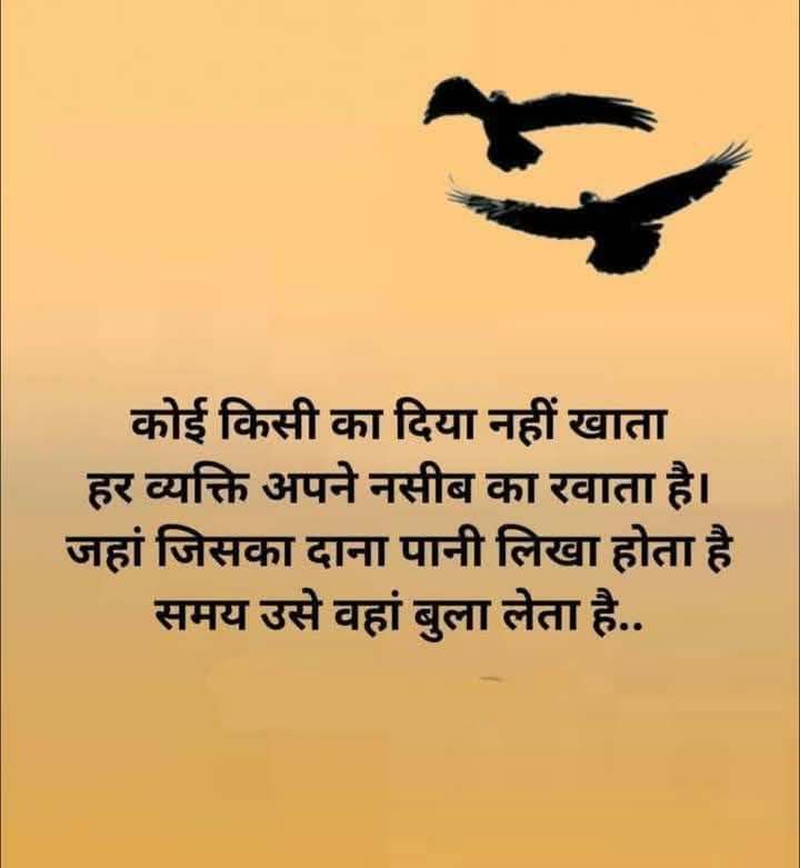 Poonam Bishnoi (@karirsp3802) on Twitter photo 
