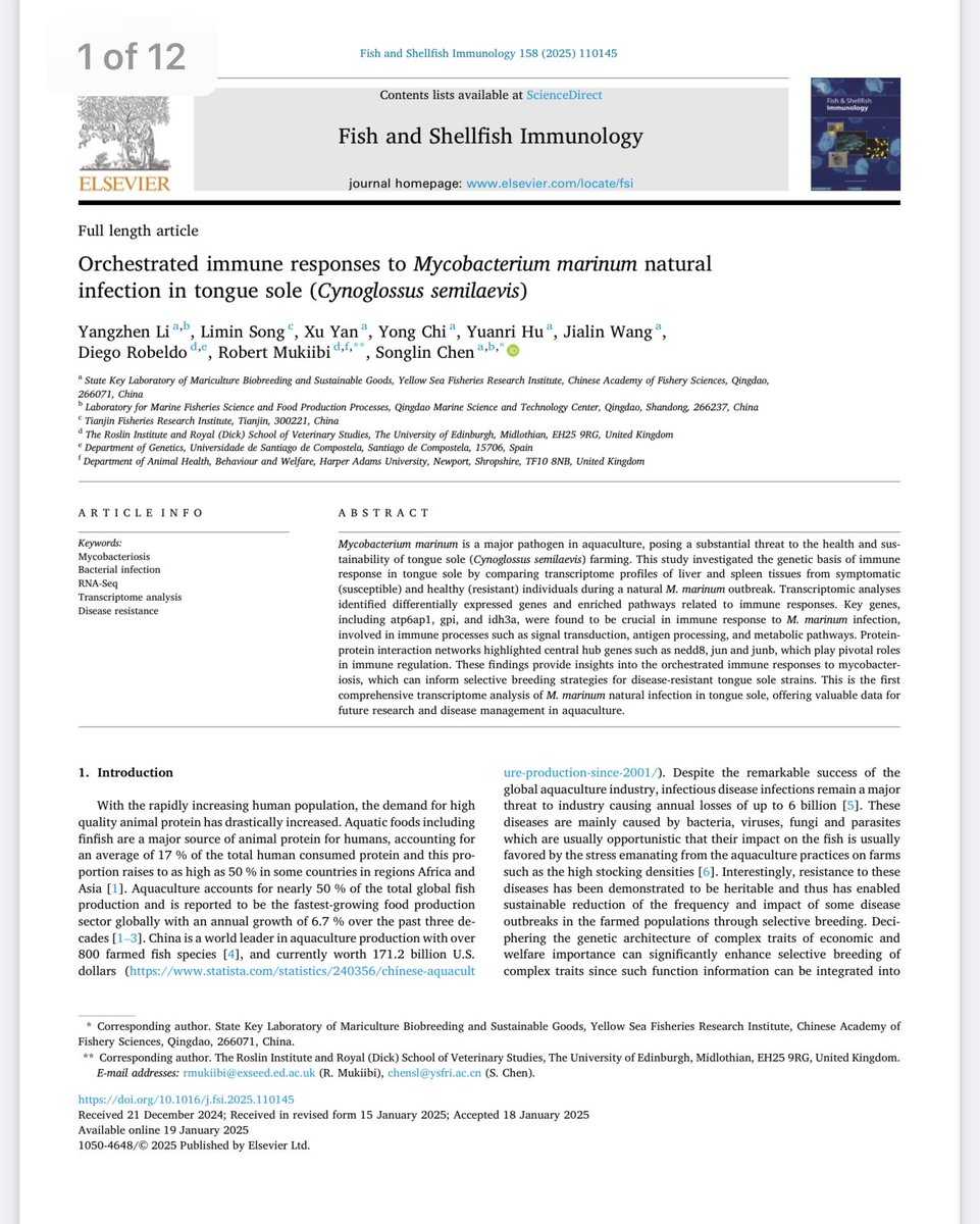 Dr. Robert Mukiibi (@robertmuk) on Twitter photo Happy to share our newly published paper, where Dr. <a href="/LiYangzhen/">Yangzhen Li</a> explored the immune response mechanism against Mycobacterium marinum in farmed tongue sole (Cynoglossus semilaevis) using transcriptomics
doi.org/10.1016/j.fsi.…
<a href="/Diego___RS/">Diego Robledo</a> <a href="/roslininstitute/">The Roslin Institute</a> #genomics #aquaculture Happy to share our newly published paper, where Dr. <a href="/LiYangzhen/">Yangzhen Li</a> explored the immune response mechanism against Mycobacterium marinum in farmed tongue sole (Cynoglossus semilaevis) using transcriptomics
doi.org/10.1016/j.fsi.…
<a href="/Diego___RS/">Diego Robledo</a> <a href="/roslininstitute/">The Roslin Institute</a> #genomics #aquaculture