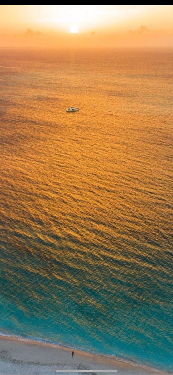 ☪弓月（ゆづき）☪ tweet media