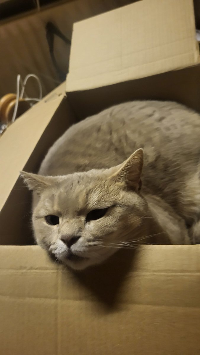 Katja's kleine Farm tweet media