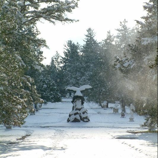 Georgian Court University Admissions tweet media