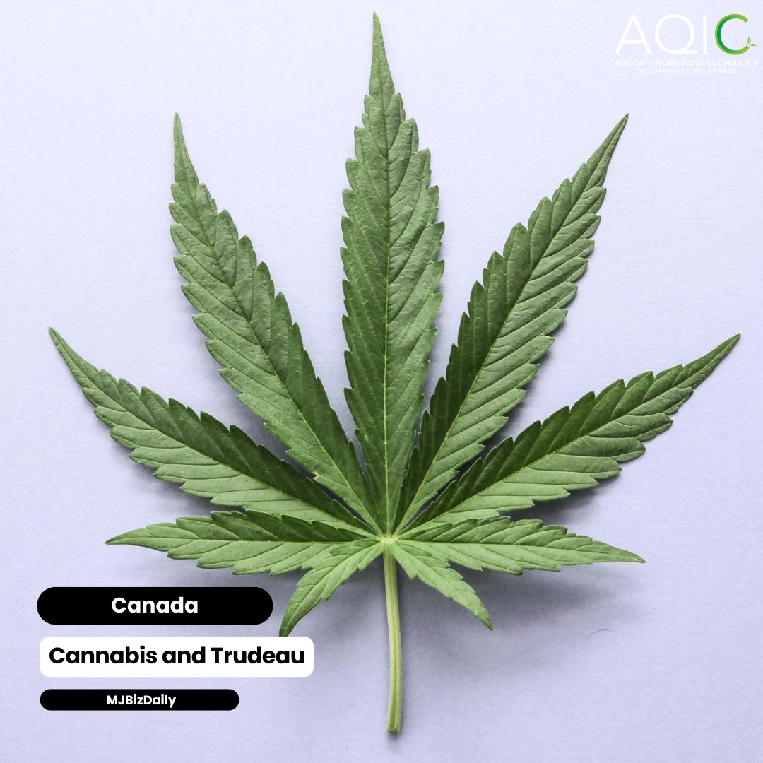 Association québécoise du chanvre et du cannabis tweet media
