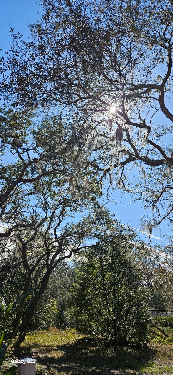 sackela's tweet photo. A little sunshine goes a long way https://t.co/uaNIz8O7N8