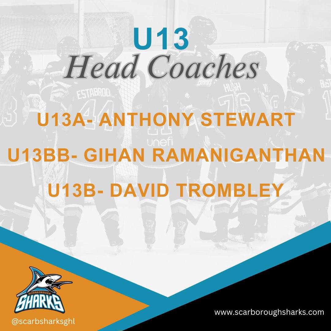 ScarbSharksGHL's tweet photo. 🦈 Exciting news, Sharks family! 🏒 
We're thrilled to announce our rep coaching lineup for the 2025-2026 season! Our dedicated coaches are ready to lead our young athletes to new heights. Check out our website for the full roster of amazing coaches this year. https://t.co/fjpGCU4OZz