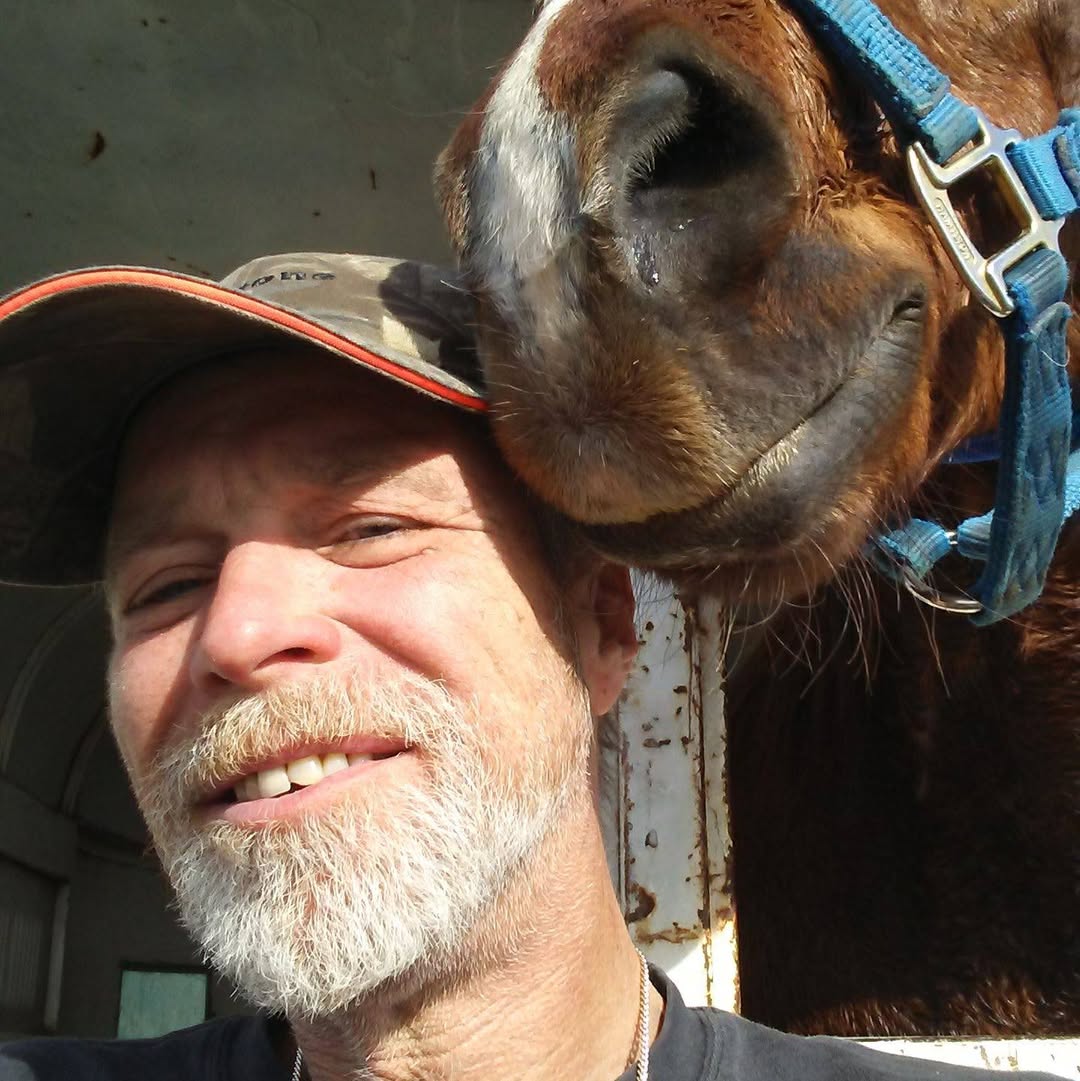 GhostofLavoy's tweet photo. It's a slow time for #bundycult news so @VincentEasleyII is dusting off some of his old favorites. He shared a pic with Hellboy who Duane Ehmer left in his girlfriend's care when he went to prison. In true #bundytrash fashion, she neglected the horse until it died.
Ammon Bundy https://t.co/dgFZJXMreE