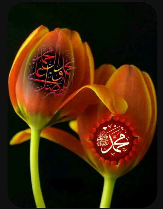 ( أتدرون ما هو الرد الجميل )

الرد الجميل هو أن يردك الله 
إليه بلطف دون أن يبتليك 
بمصيبة مثل مرض أو خسارة
أو عجز أو حادث أو موت عزيز 
كأن تستيقظ من غفلتك 
بسماع آية من القرآن .. 
أو حديث نبوي أو موعظة 
أو رسالــة ربــانــية .. 

” اللهم ردنا إليك رداً جميلاً "