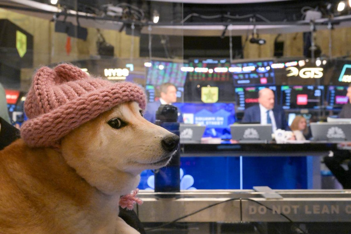 graceb_art's tweet photo. WIF invited achi’s family to visit the U.S. from Korea, and took the doggo &amp; the fam to visit D.C., NYC @NYSE @CNBC Wall St. Bull and more!

my friends @rektmando @fomohour @MarioNawfal thanks ahead for your coverage, enjoy! 

🫂🧢 https://t.co/TaJQFuQyl8