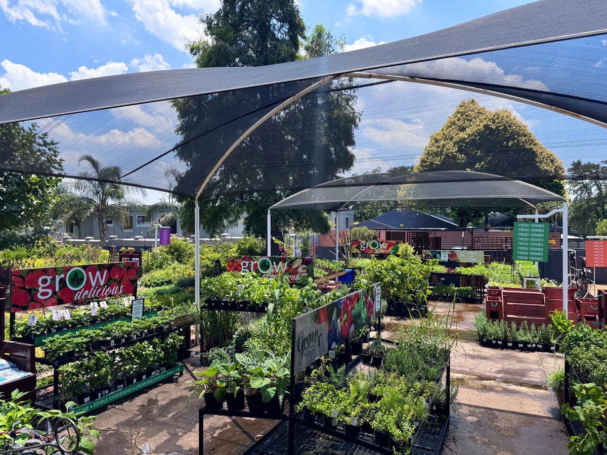 EckardsGarden's tweet photo. Our food gardening department is packed full of yumminess for our sale this weekend. Come on over, we’ll help you grow great grub! 🌸 #eckardsgarden https://t.co/pdE0ZoM5kg
