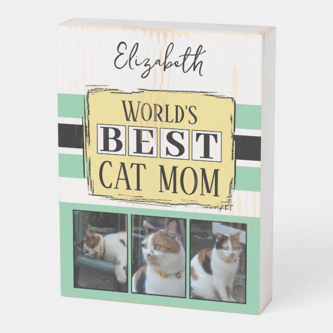 LynnroseDesign's tweet image. zazzle.com/z/ccf6vjpg?rf=…
#rustic #boxsign #giftidea #shopsmall #giftideas