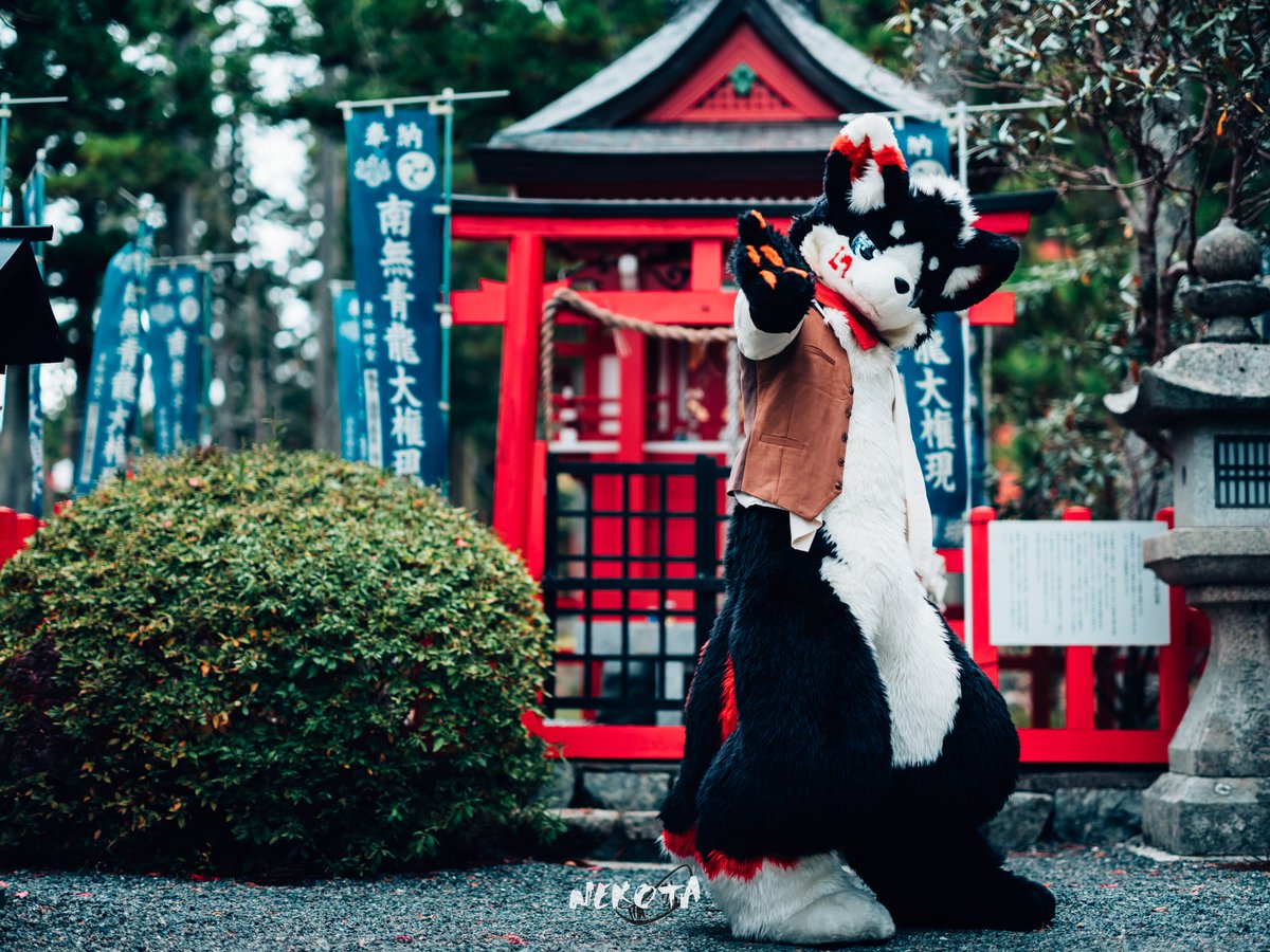 我更喜欢牵着手走路
📷：<a href="/hinekota/">ネコタ@NEKOTA➡SFF</a>
#FursuitFriday