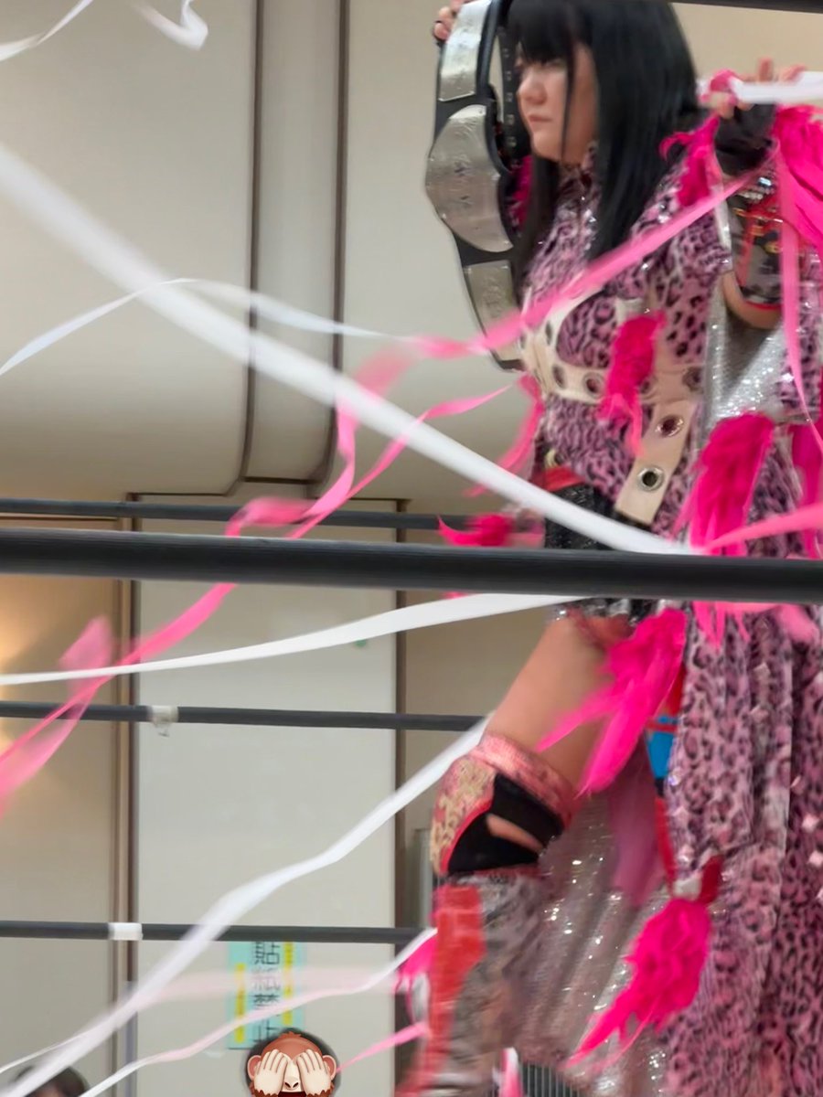 KikakuSuzukawa's tweet photo. PURE-J 板橋グリーンホール大会

中森華子＆神姫楽ミサ vs 春日萌花＆真琴

#PUREJ
#GanPro
#pr_jto https://t.co/AmbYWqMbWf